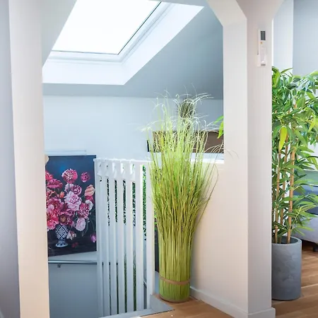 Casa San Marco 펜션 발카린